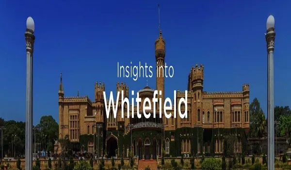 Whitefield Locality Trends